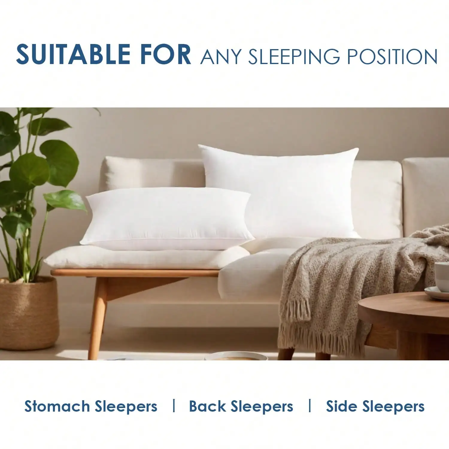2‑Pack & 4‑Pack 12x20 18x18 De - огляд і ціна Pillow Insert 18X18